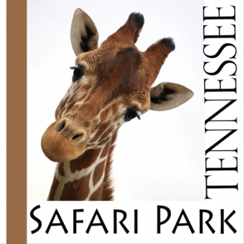 tennessee safari park nashvillelife com