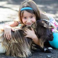 Tennessee's #1 place for family fun! Family fun park, Petting zoo, playground, wagon rides, pony rides