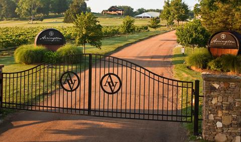 Nashville vineyards Arrington Vineyards