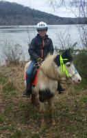 Scenic Lakeside trail rides at Cordell Hull Lake