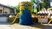 Mrs. B's Pumpkin Patch Mrs. B's Pumpkin Patch