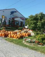 Mrs. B's Pumpkin Patch Mrs. B's Pumpkin Patch