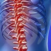 Belle Meade Chiropractic Center Belle Meade Chiropractic Center