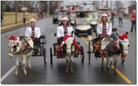 Gallatin Christmas Parade Gallatin Christmas Parade