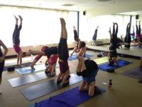 Hot Yoga Plus Hot Yoga Plus