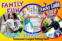Summer Fun at Lucky Ladd Farms Summer Fun at Lucky Ladd Farms