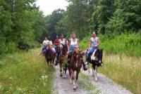 Cedars of Lebanon Horseback Riding Cedars of Lebanon Horseback Riding