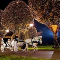 Where to view Christmas Holiday Lights in Nashville and Middle Tennessee