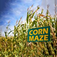 Best Corn Mazes in Nashville and Middle Tennessee