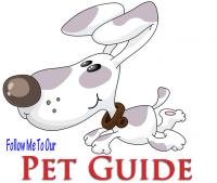 Pet Lovers Guide