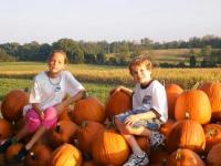 Boyd's Pumpkin Patch and Corn Maze Boyd's Pumpkin Patch and Corn Maze