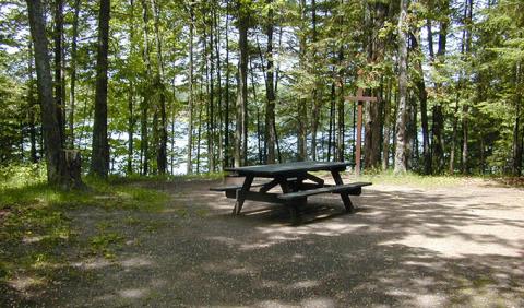Nashville's Best Campgrounds Nashville Camp Site