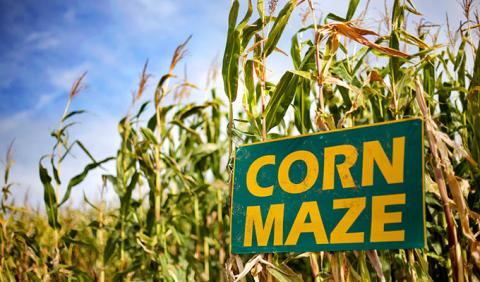 Corn Maze sign