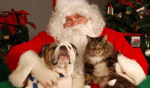 Pet Photo's with Santa Nashville Pet Photos with Santa