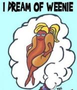  I Dream of Weenie