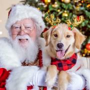 Pet Pictures with Santa at Opry Mills Mall Nashville Tennessee
