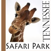Tennessee Safari Park in Alamo Tennesee